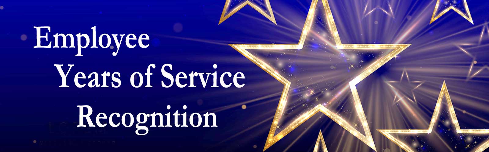 Employee Service Recognition